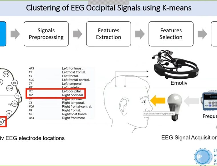 Clustering of EEG Occip