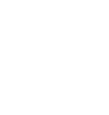 IEEE GUC Branch