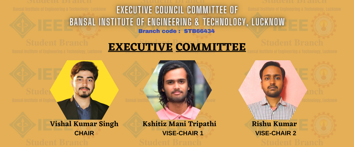 Copy of Copy of Executive council committee of Bansal institute of engineering & technology, lucknow (1)