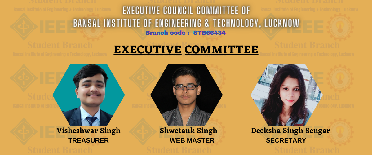 Copy of Copy of Executive council committee of Bansal institute of engineering & technology, lucknow (2)